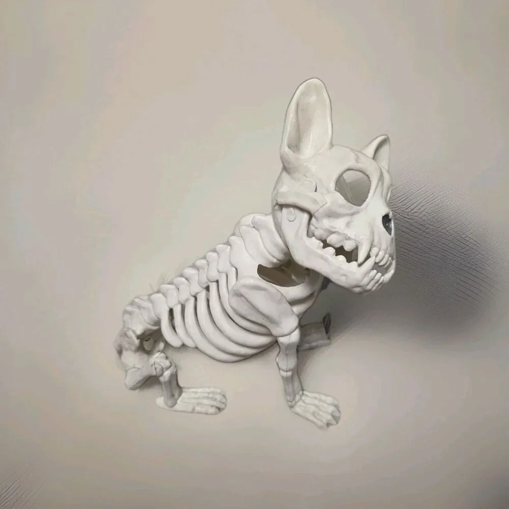 French Bulldog Skeleton Figure HYDE And EEK Spooky NEW NWT